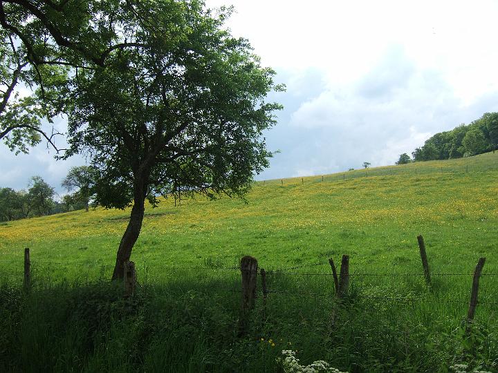 2008-05- (367).JPG - Beim spätnachmittaglichen Spaziergang